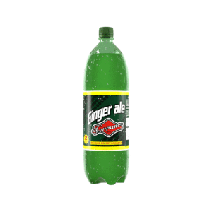 Bebida Fruna GingerAle 2L