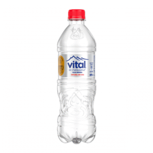 agua vital sin gas 600ml